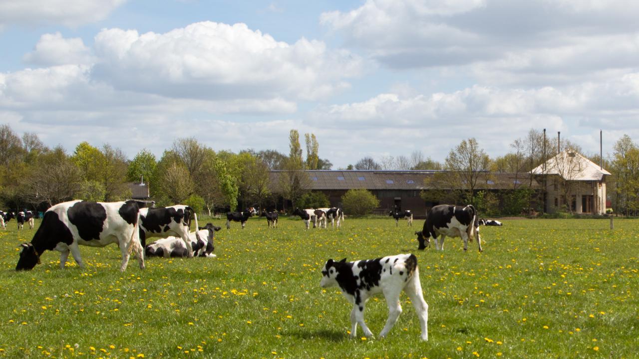 Biotel Achterhoek Lievelde Exterior foto
